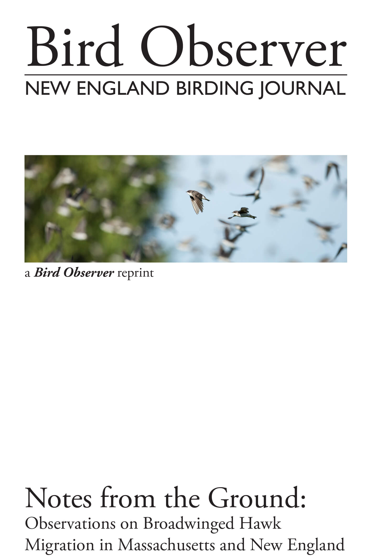 Observations on Broadwinged Hawk Migration in Massachusetts and New England